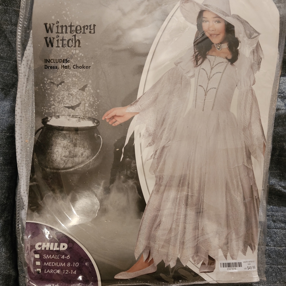 Spirit Shimmering White Witch Costume
